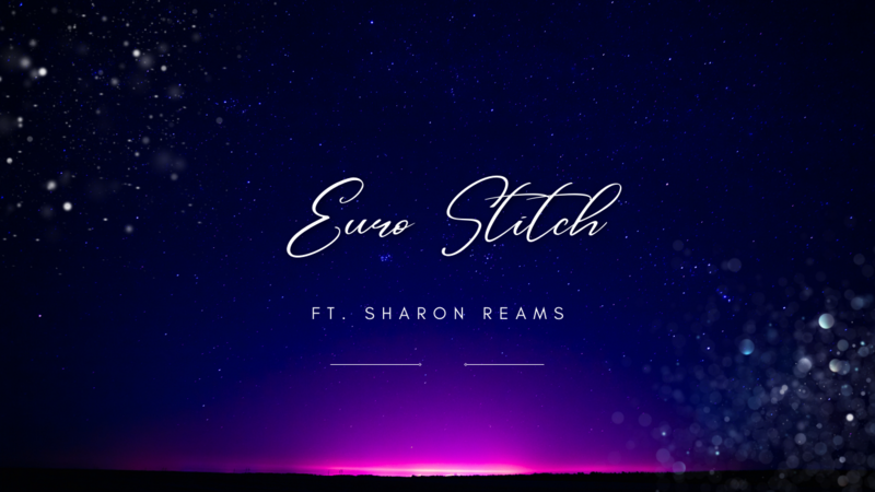 Euro Stitch DVD