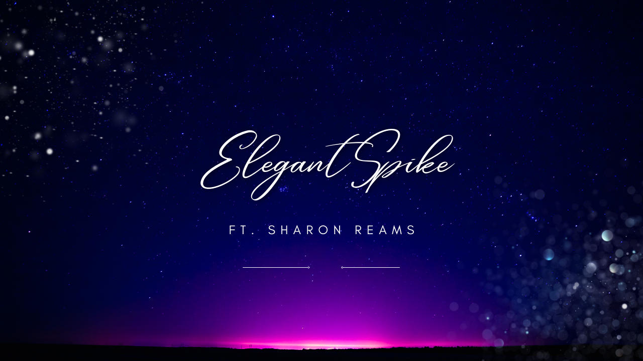 Elegant Spike DVD