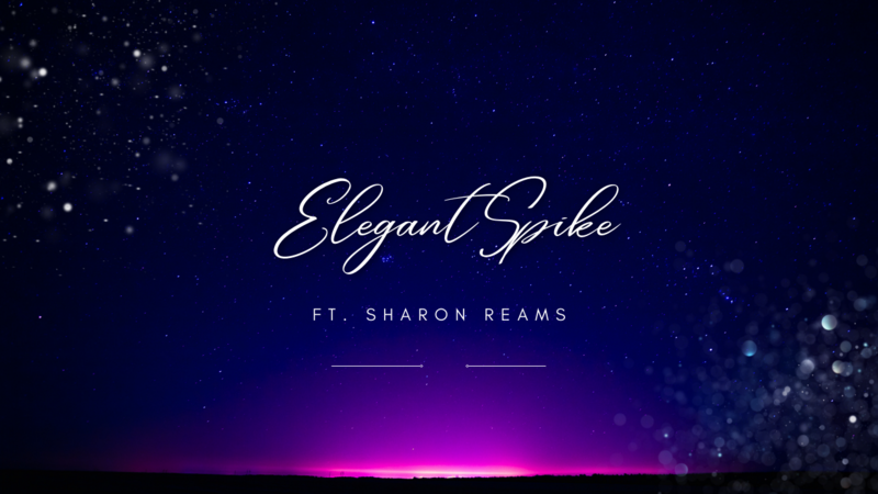 Elegant Spike DVD