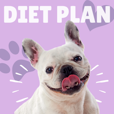 Diet plan blogs