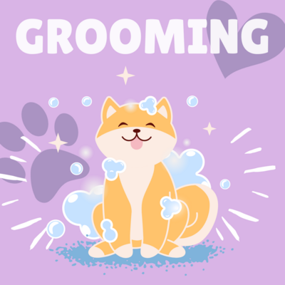Grooming blogs