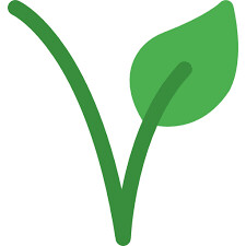 Donuts Mars (🌱 Végétarien) - Carton de 36 pièces