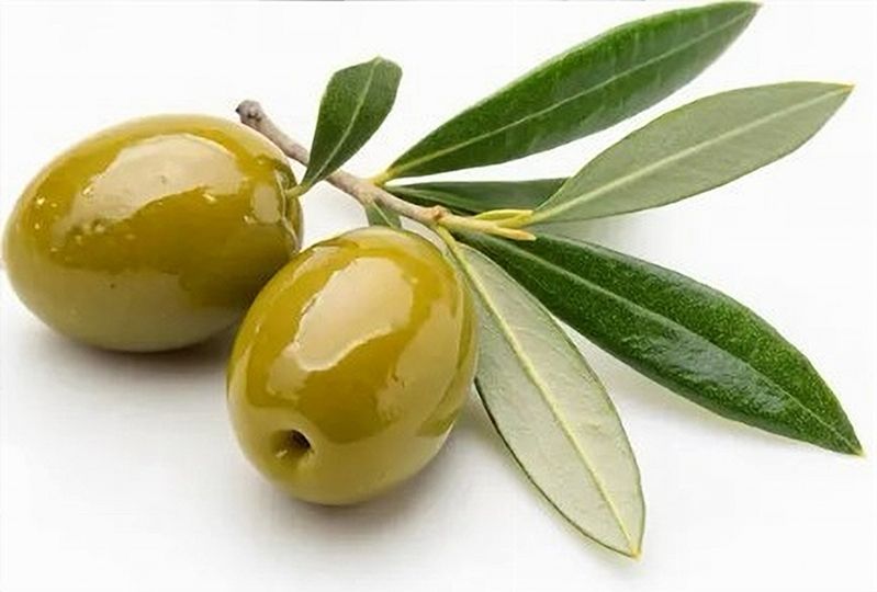 Huile d'olive extra-vierge tunisienne .          5 litres