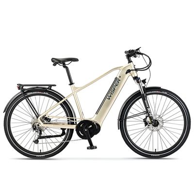 Wisper Wayfarer M9 City/ Adventure 450Wh