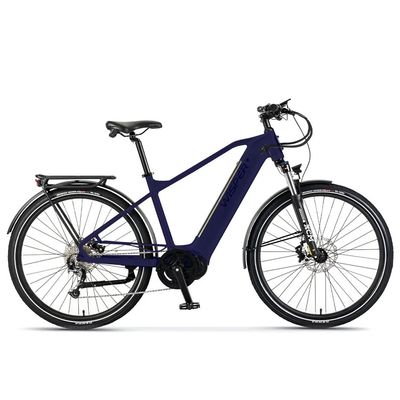 Wisper Wayfarer M9 City/ Adventure 450Wh