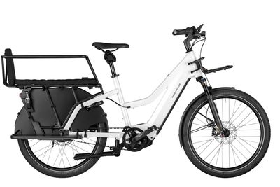 Riese &amp; Muller Multicharger Mixte GT Vario Demo