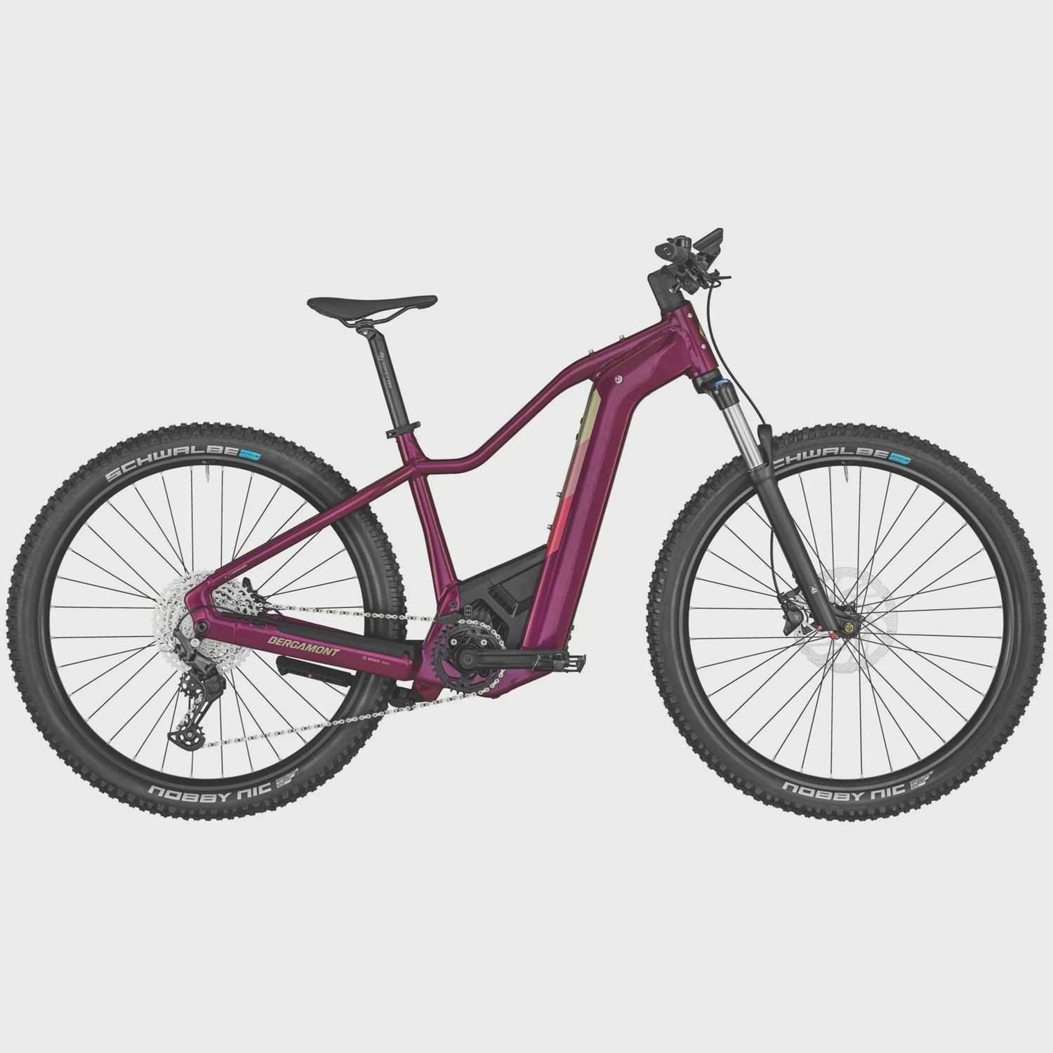 Bergamont E Revox Pro FMN eMTB