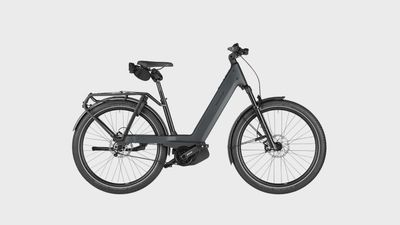 Riese &amp; Muller Nevo 5 Vario Core