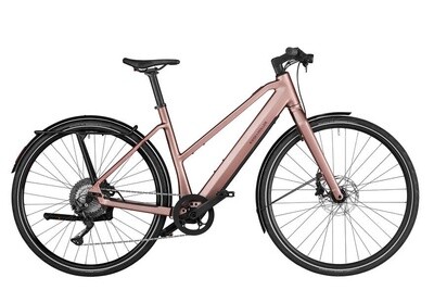 Riese &amp; Muller UBN Seven touring