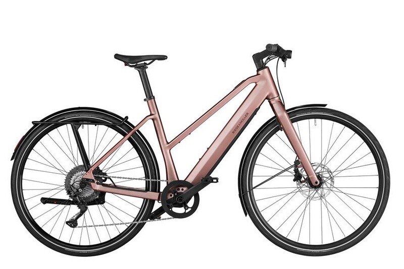 Riese & Muller UBN Seven touring Riese & Muller UBN Seven touring