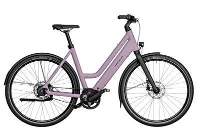 Riese &amp; Muller Culture Mixte Fixed Fork