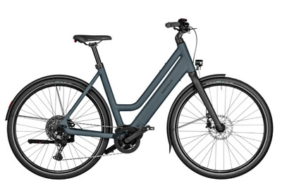 Riese &amp; Muller Culture Mixte Fixed Fork