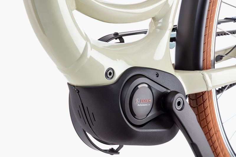Riese & Muller Swing 5 Vario