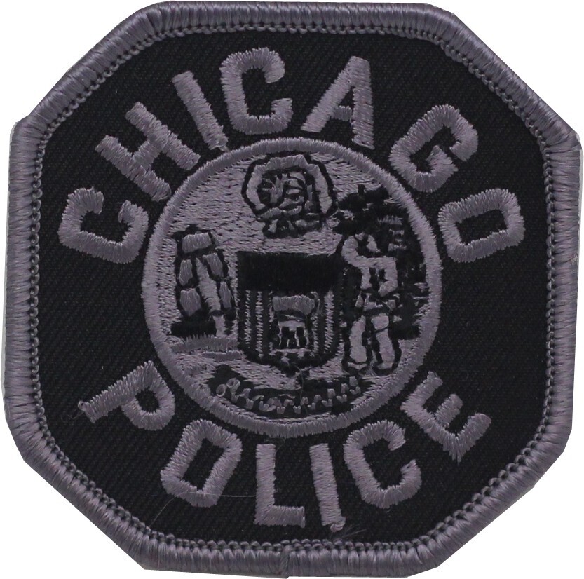 Chicago Police subdued Octagon Patch
