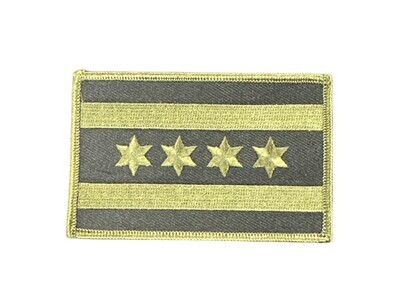 OD Green City Flag Patch