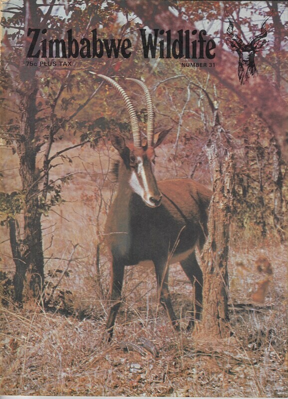 Zimbabwe Wildlife #31