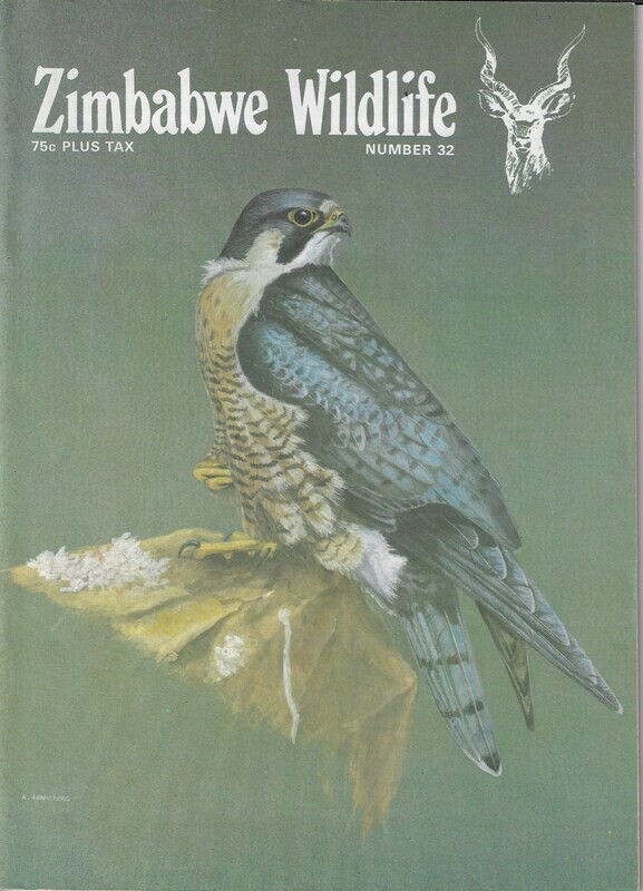Zimbabwe Wildlife #32