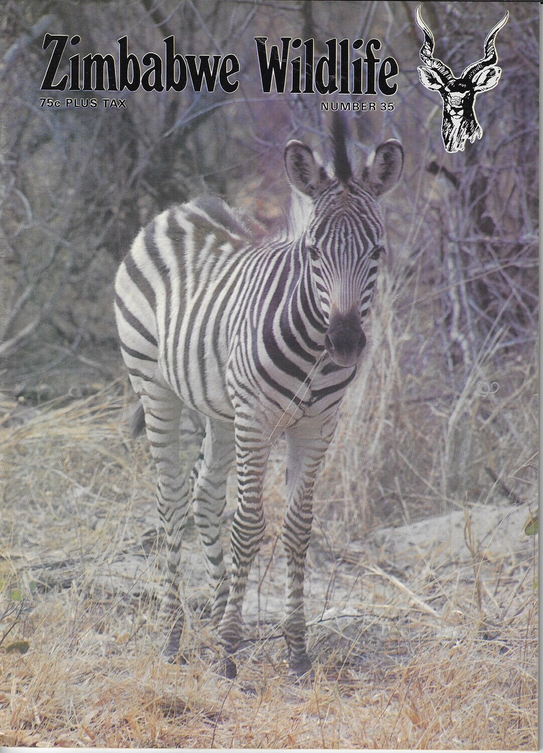 Zimbabwe Wildlife #35