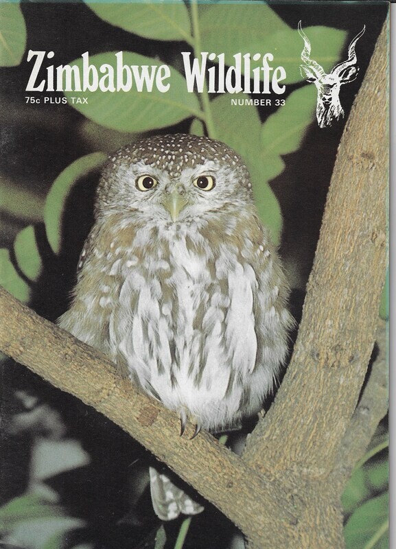 Zimbabwe Wildlife #33