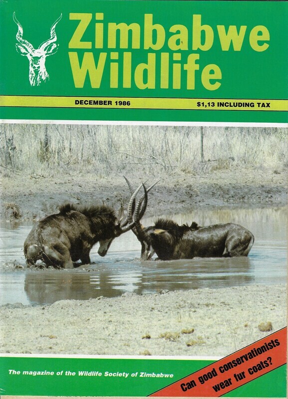 Zimbabwe Wildlife - December  1986