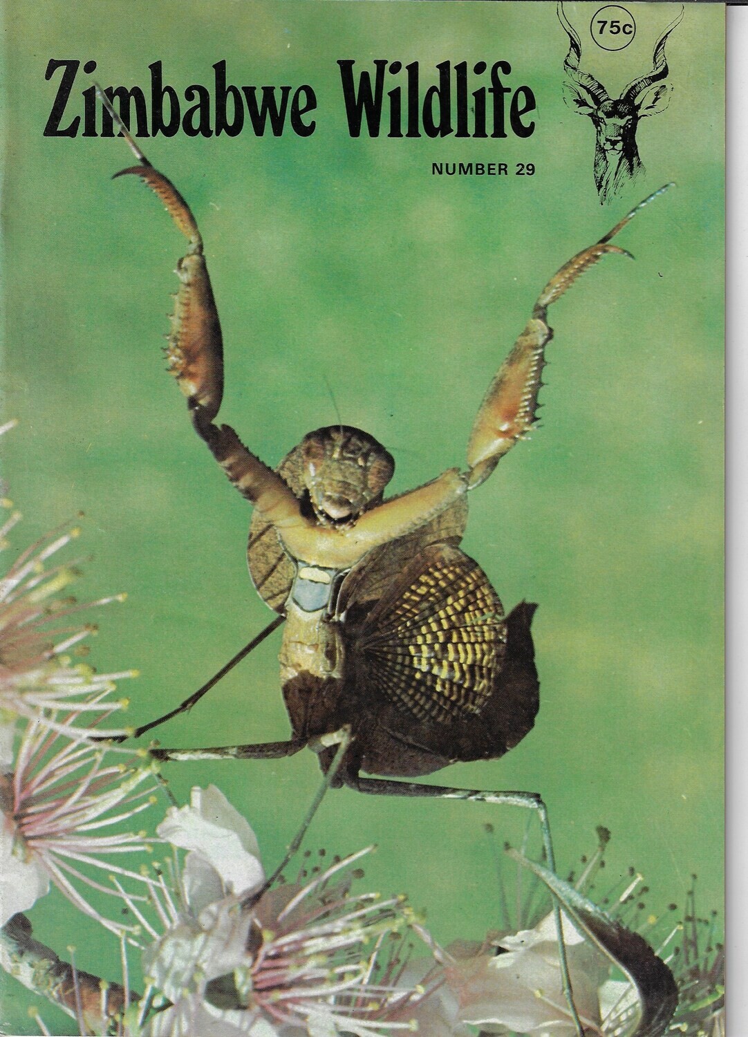 Zimbabwe Wildlife - February 1982