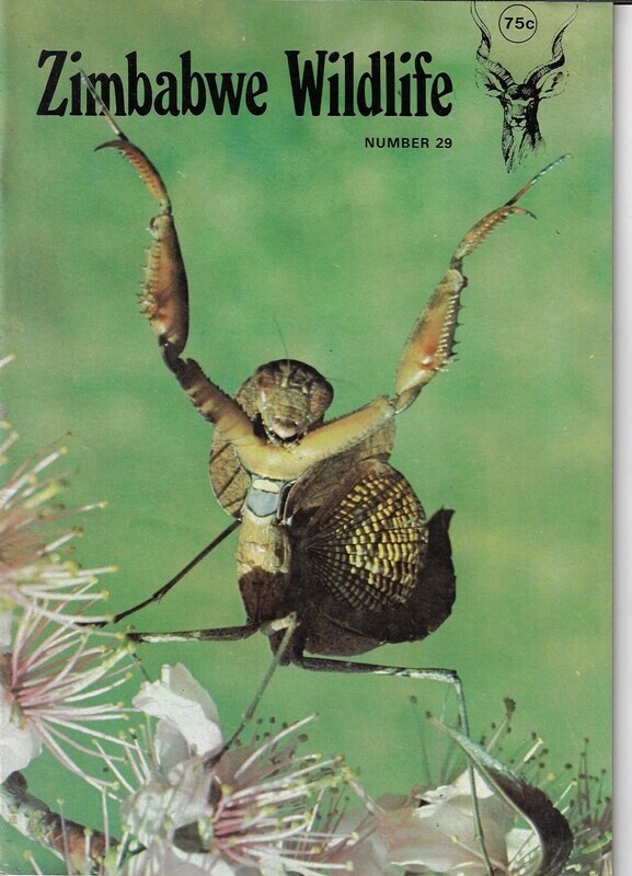 Zimbabwe Wildlife - February 1982