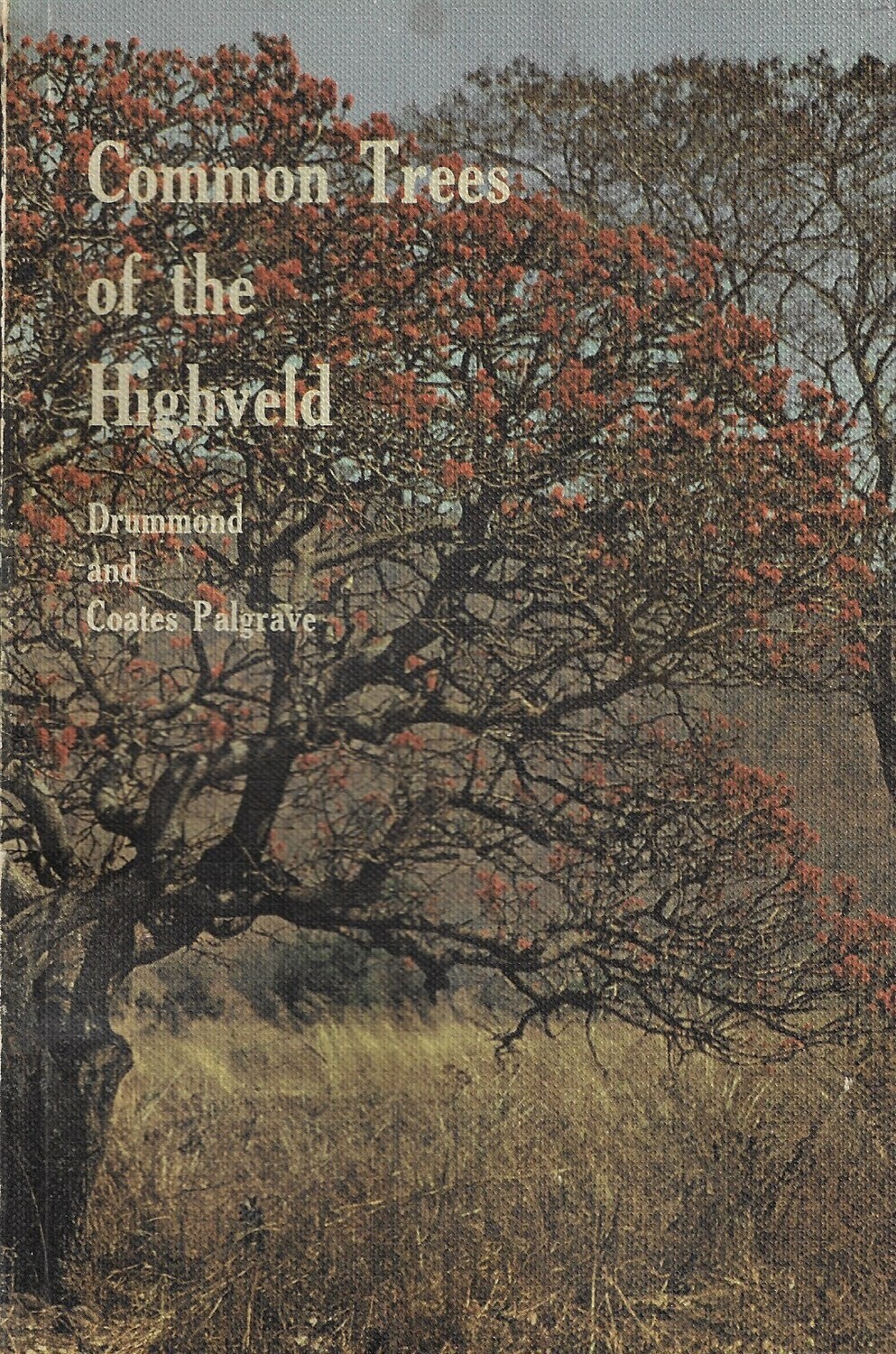 Common Trees Of The Highveld