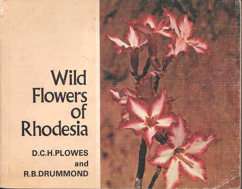 WildFlowers of Rhodesia
