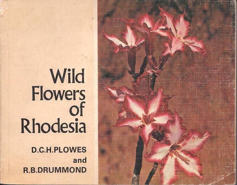 WildFlowers of Rhodesia