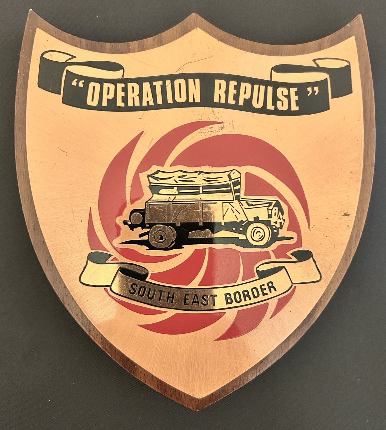 OPERATION REPULSE PLAQUE
