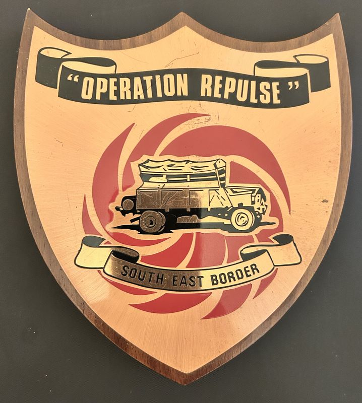OPERATION REPULSE PLAQUE