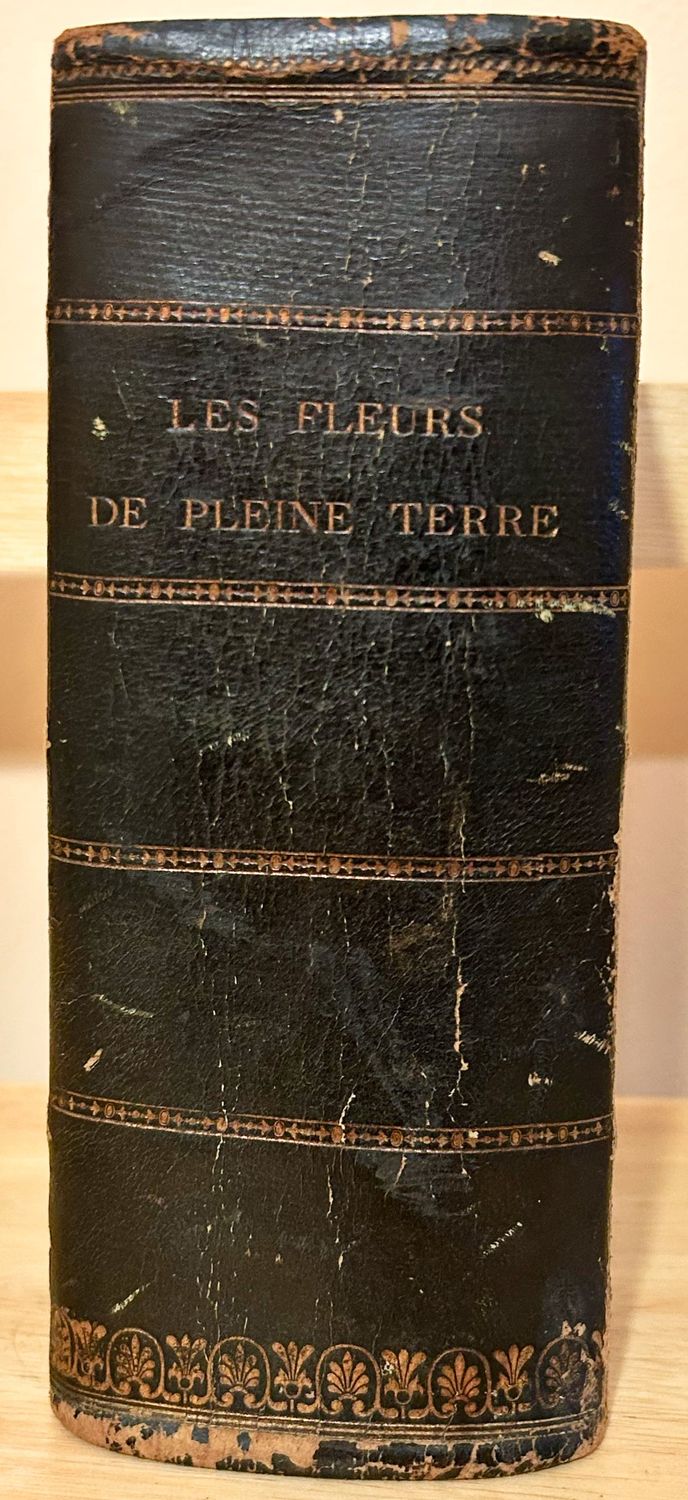 LES FLEURS DE PLEINE TERRE (1870)