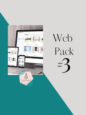 Web Pack Performance (création de site e-commerce - 100 pdts)