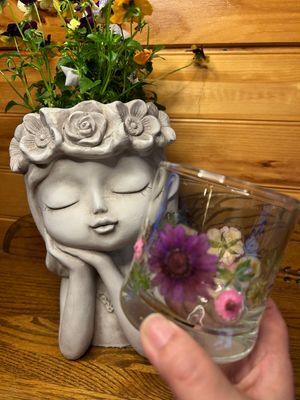 Bloom Collection On the Rocks Glass 10.5 oz