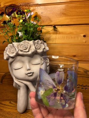Bloom Collection On the Rocks Glasss 10.5 oz