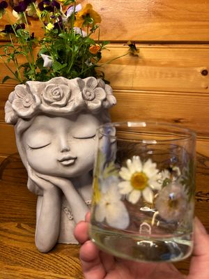 Bloom Collection On the Rocks Glass 10.5 oz