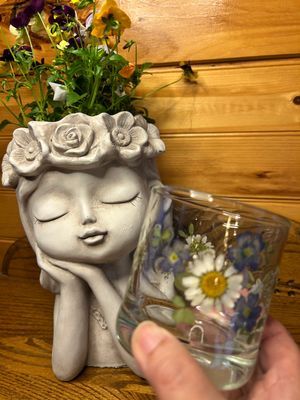 Bloom Collection On the Rocks Glass 10.5 oz