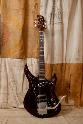 Tokai Gakki Hummingbird 240s Natural Rosewood