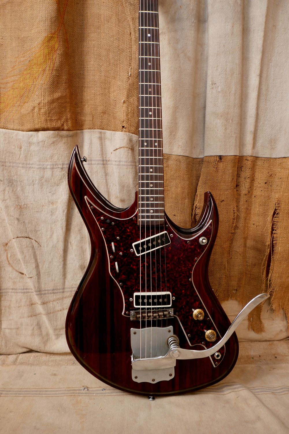 Tokai Gakki Hummingbird 240s Natural Rosewood