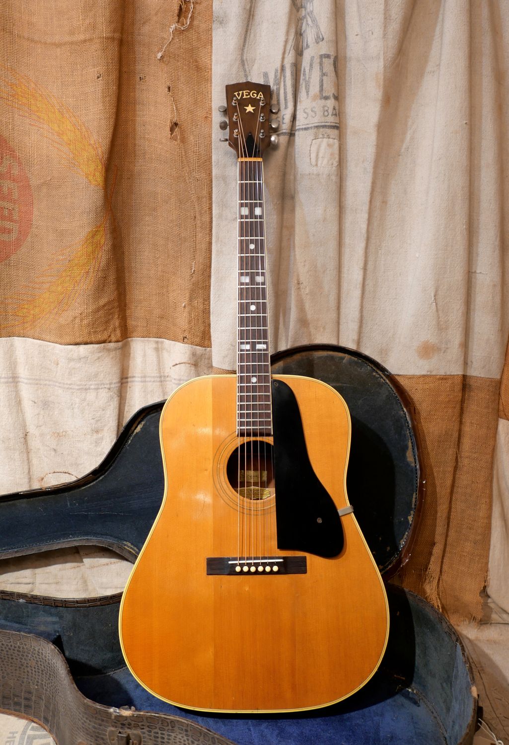 1950's Vega Profundo Natural Acoustic