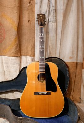 1950's Vega Profundo Natural Acoustic