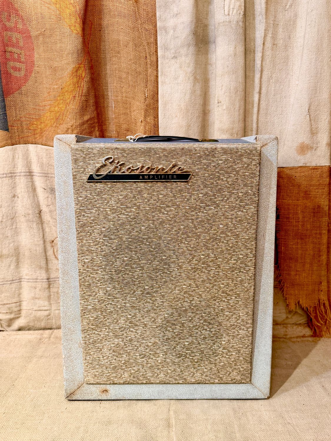 Ekosonic Mod 98. 1950&#39;s Tube Amplifier Two Tone Blue