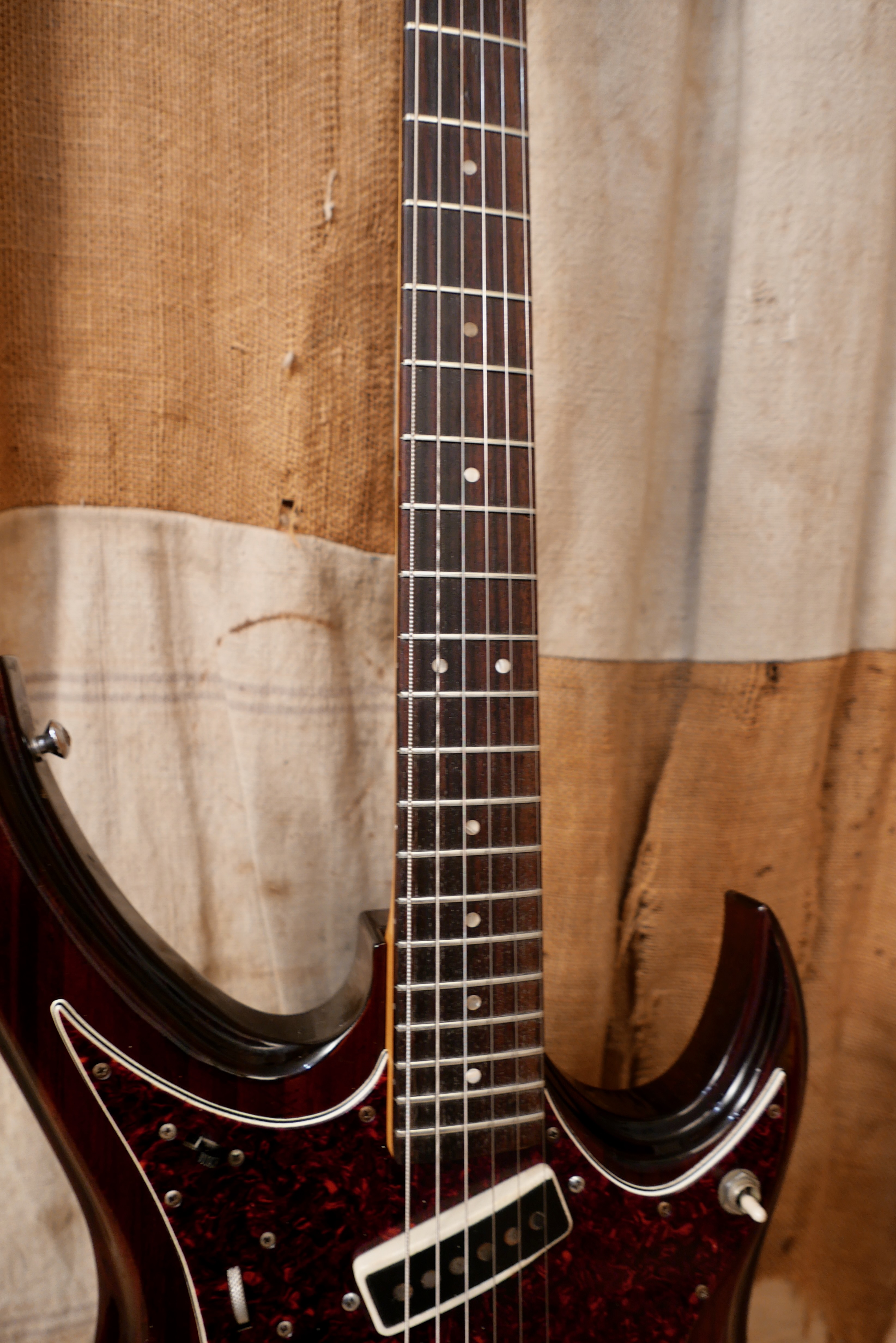 Tokai Gakki Hummingbird 240s Natural Rosewood
