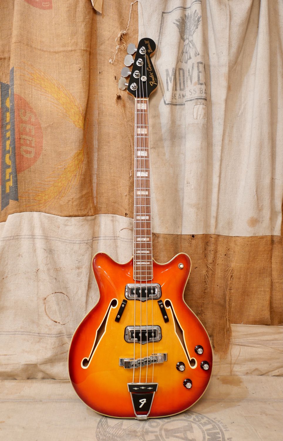 1966 Fender Coronado Bass Sunburst 2PU