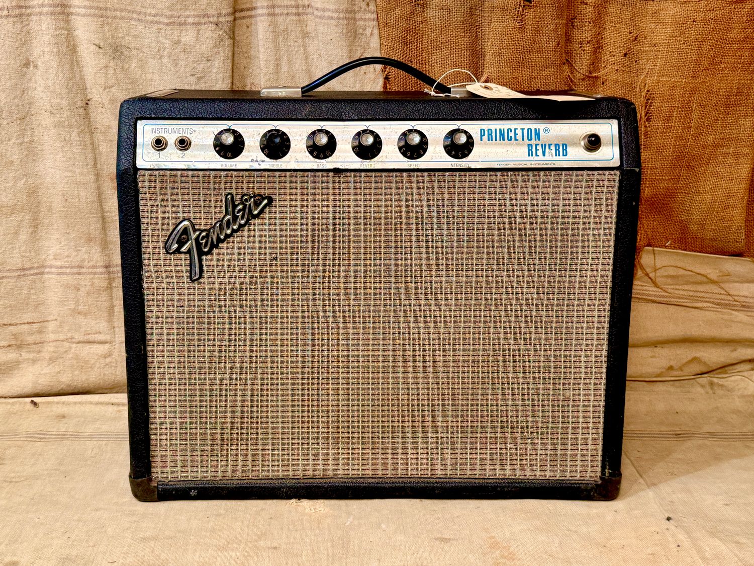1976 Fender Princeton Reverb Silver Panel