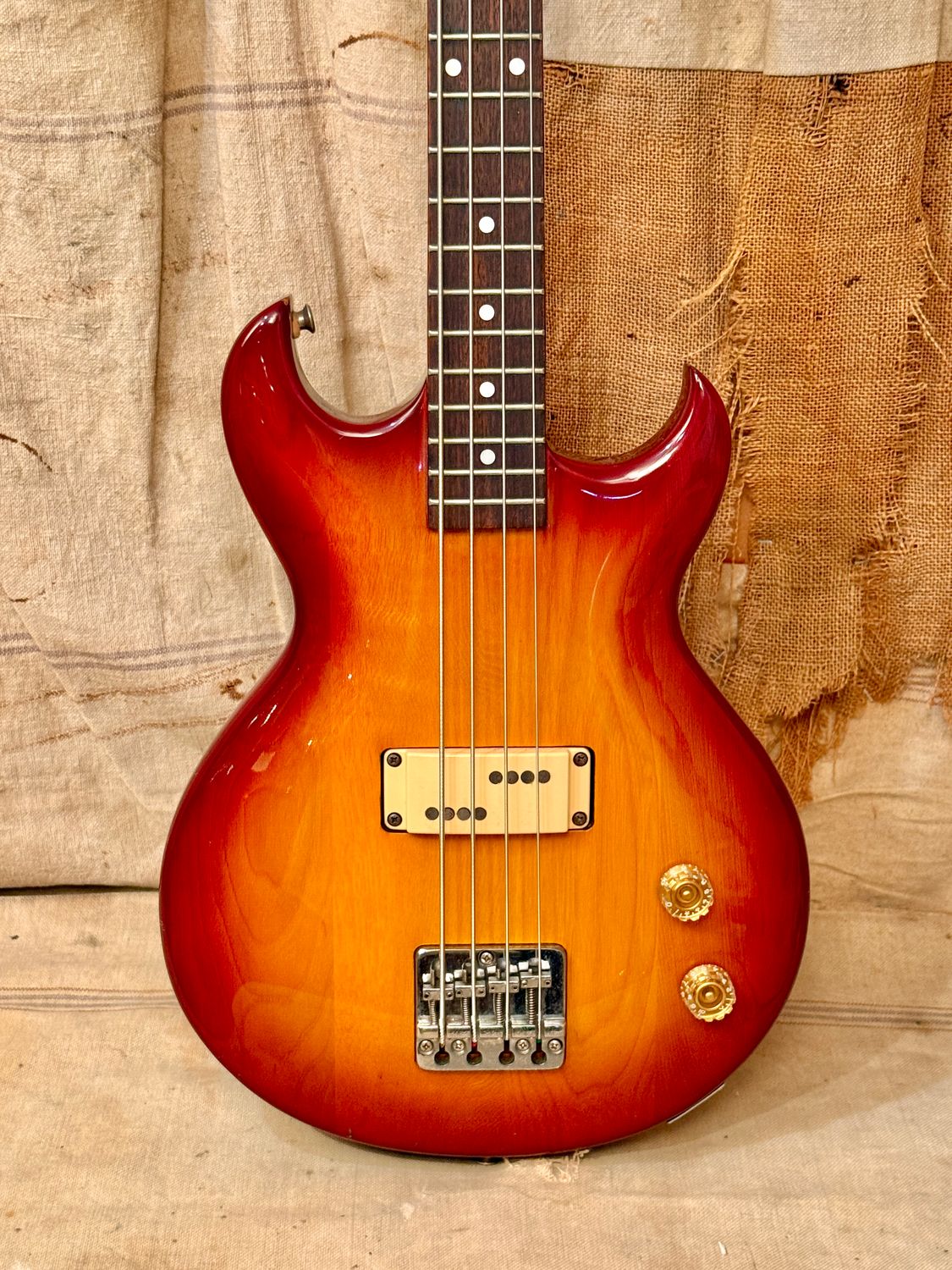 1982 Aria Pro II CSB-450 Cardinal Bass Cherry Burst