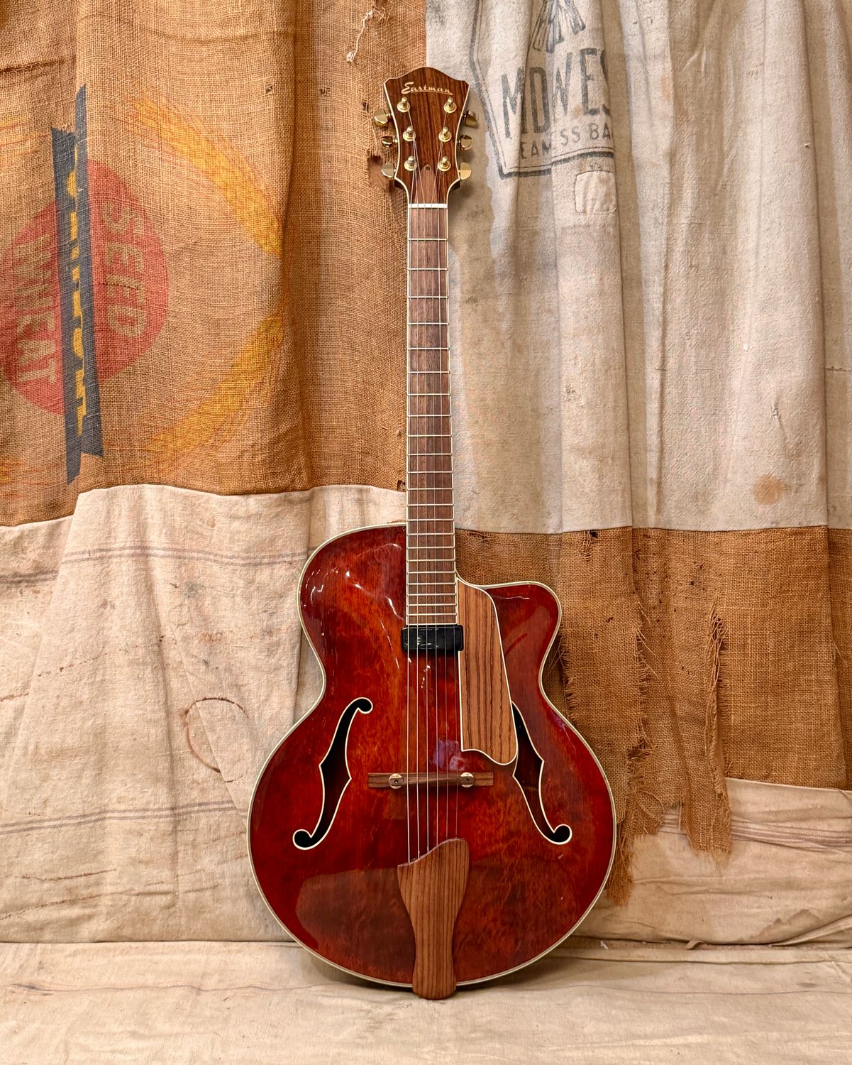 2014 Eastman AR605CE Stained Natural-Dark Walnut Archtop Cutaway AR605  AR-605 CE
