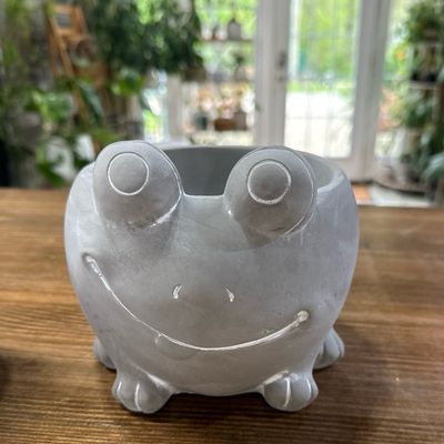 5” Frog Flower Pot