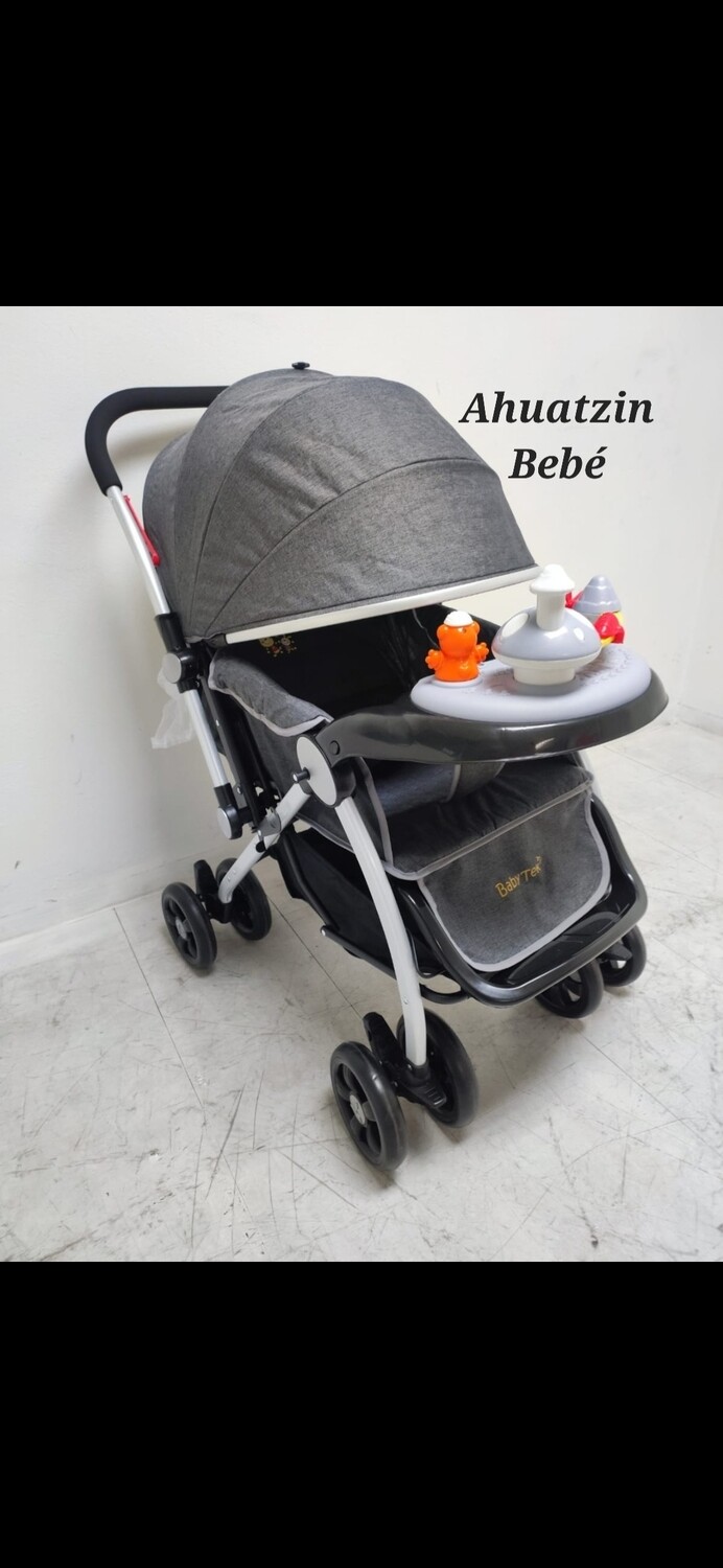 Carriola Baby Tek