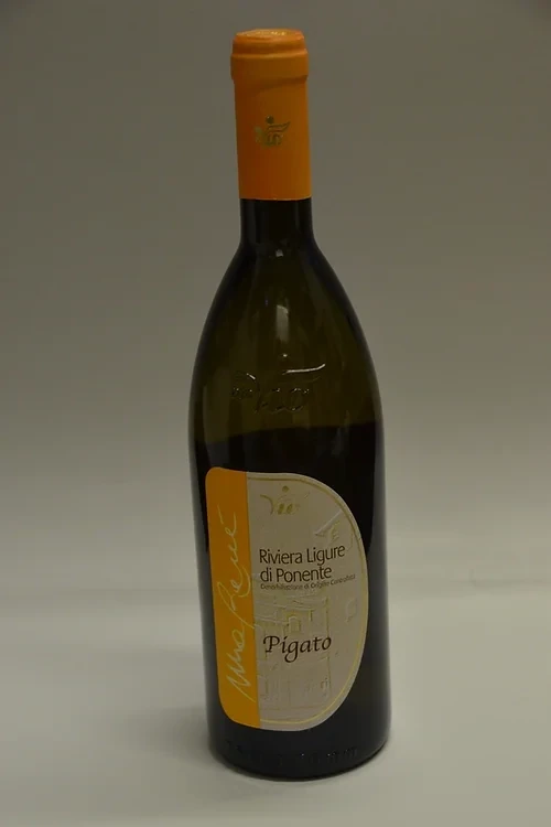Organic Pigato white wine
